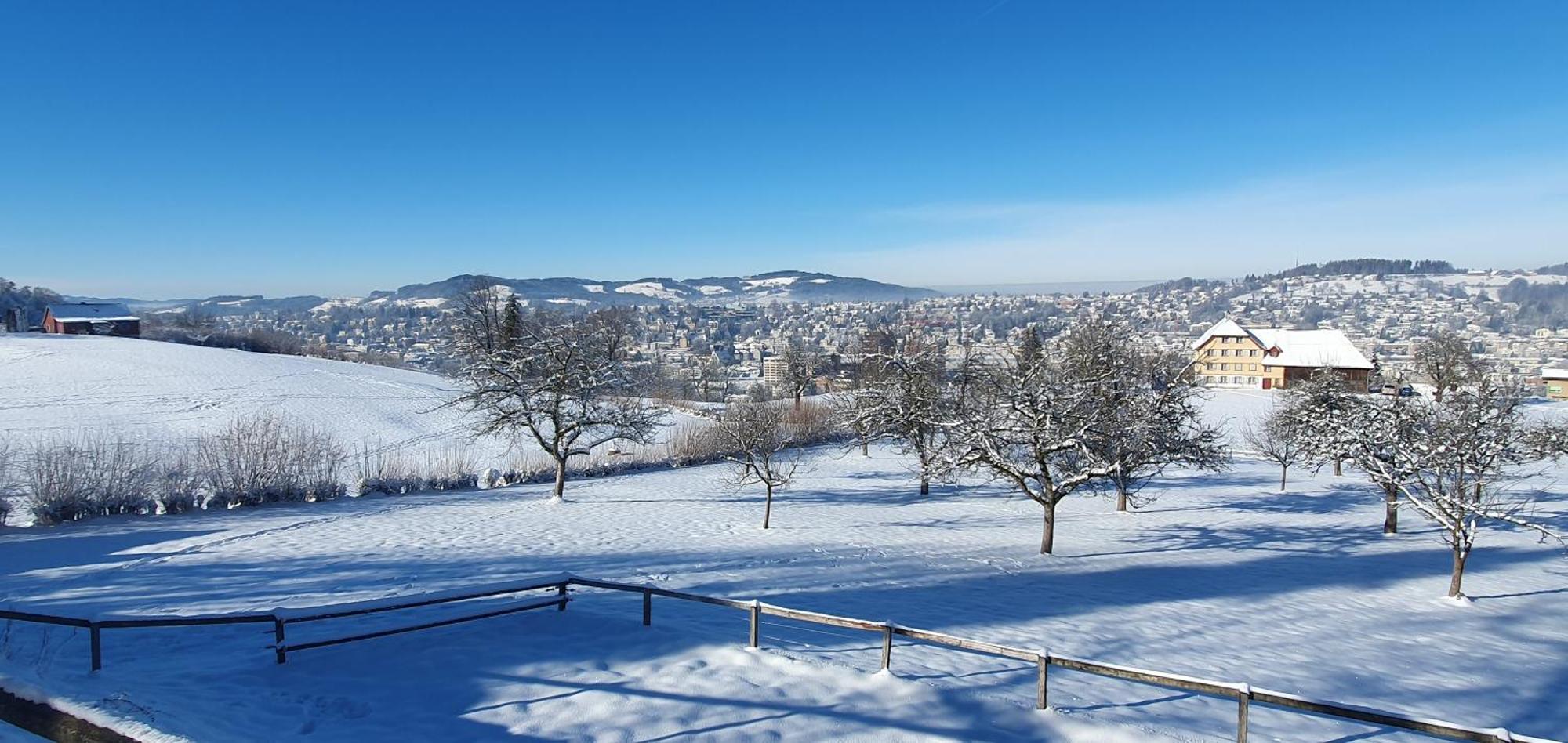 2-4 Zimmer Apartments Stilvoll Im Gertrud Schloessli - Zentral Ruhig St. Gallen Luaran gambar