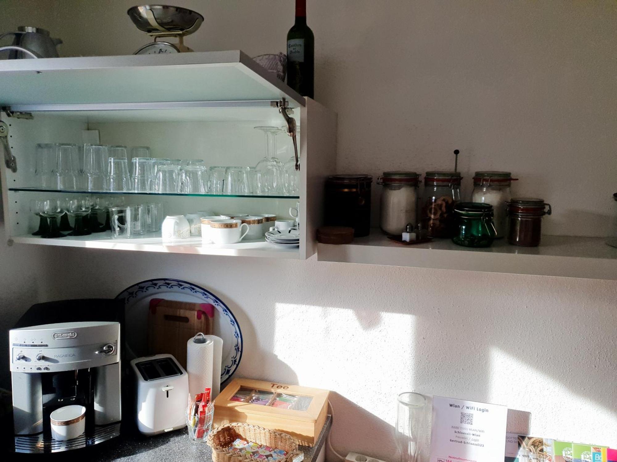 2-4 Zimmer Apartments Stilvoll Im Gertrud Schloessli - Zentral Ruhig St. Gallen Luaran gambar