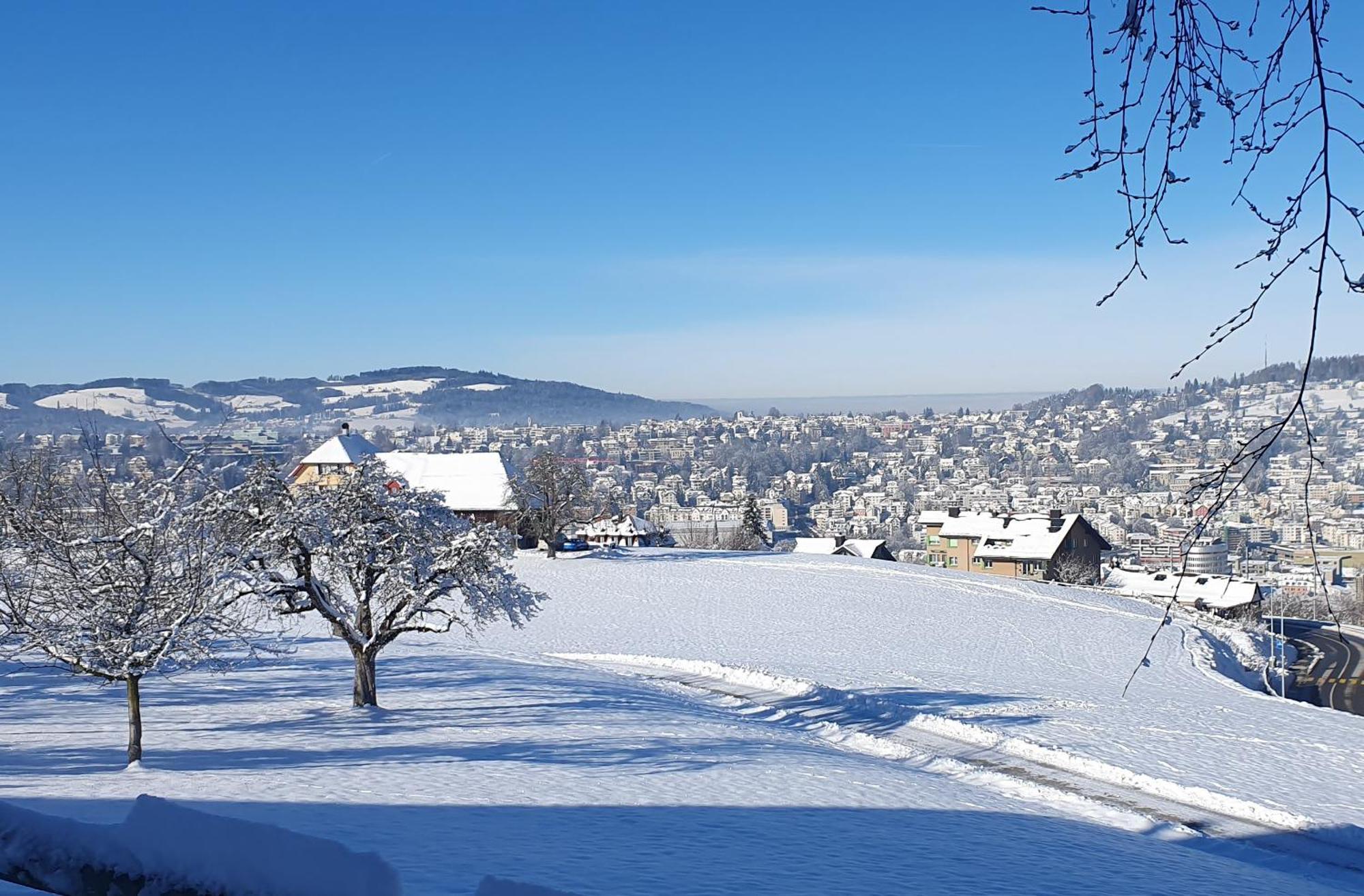 2-4 Zimmer Apartments Stilvoll Im Gertrud Schloessli - Zentral Ruhig St. Gallen Luaran gambar